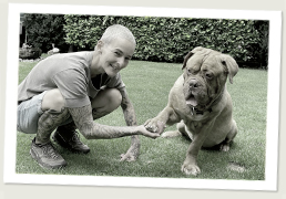 Pantoufle - Bordeauxdogge