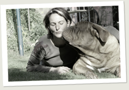 Krümel - Bordeauxdogge