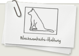 Die Kommunikationshaltung des Hundes