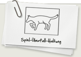 Die Spiel-Überfall-Haltung des Hundes