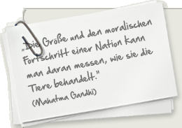 "Die Größe und den moralischen Fortschritt einer Nation kann man daran messen, wie sie die Tiere behandelt." (Mahatma Gandhi)